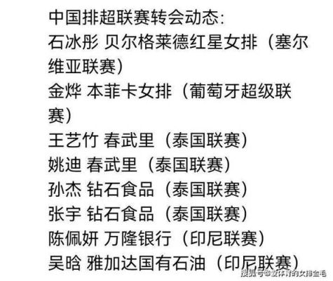 印尼中国朋友，可不可以，转账到国内，银行账户？（印尼出境带外汇）