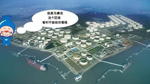 在东部沿海建立石油存储基地的目的？（外汇基地）