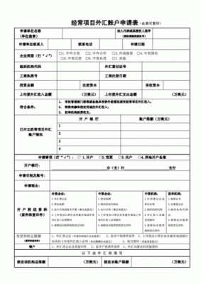 个人外汇入账怎么申报？（外汇收入入账申报）