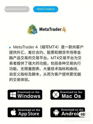 为什么外汇交易都是用MT4软件，还有自营盘吗？（有自营盘外汇吗）