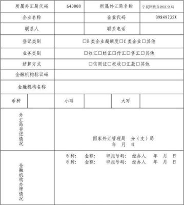 外汇局批件号/备案表号/业务编号怎么填啊？（外汇局业务登记表）