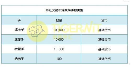 外汇标准手数怎么算？（外汇标准手和手数）