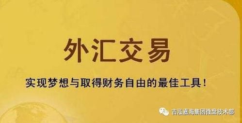 个人可以做外汇交易吗？（民间可以炒外汇吗）