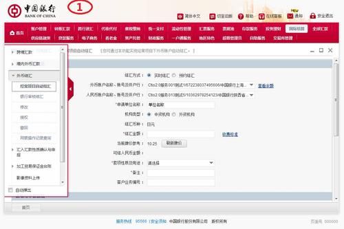 中国银行企业网银外币结汇查询？（银行外汇知识疑问）