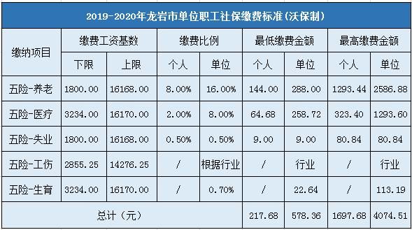 龙岩社保个人缴费标准？（龙岩代境外汇款）