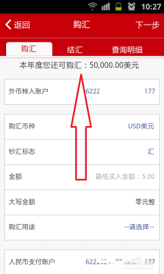 银行购汇是什么意思？（购买外汇资金用途）