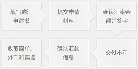 企业如何购汇？（公司外汇需要哪些资料）
