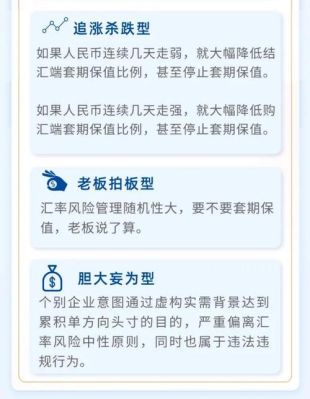 案例中所涉及的汇率风险是指什么？（什么是外汇折算风险）