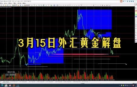 2015年3号文件具体内容？（3月15日外汇）