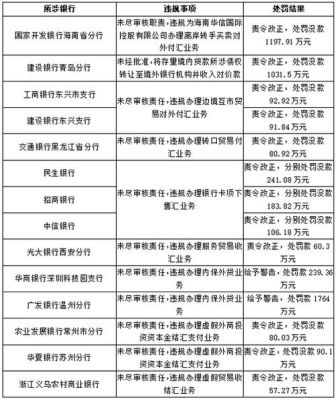 国家外汇管理局开始严查外汇违规行为了吗？（外汇维护更新公告）