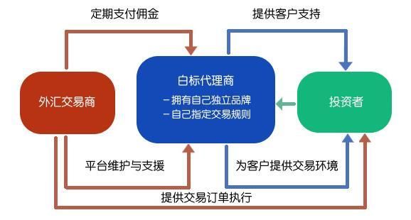 如何搭建外汇白标平台？成立一个外汇白标平台大概需要多少费用？（如何做一个外汇平台）