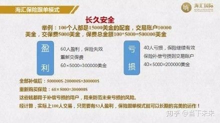 外汇托管加保险模式是什么意思？（外汇托管怎么做）