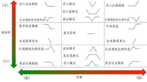 二元期权属于什么种类？（二元期权是外汇吗）