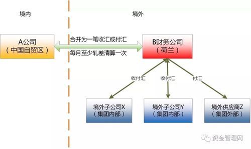 净额是什么意思？（跨境外汇轧差净额结算）