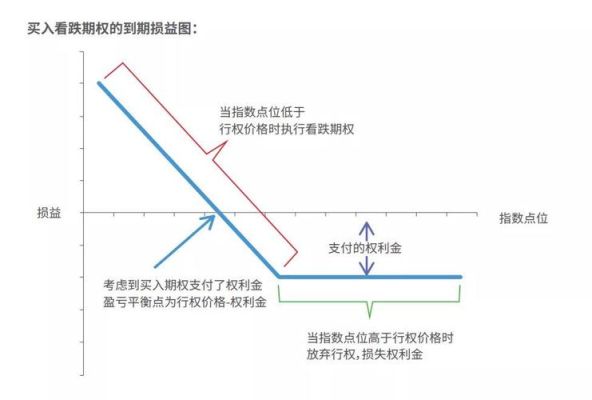 保护性看跌期权的理解？（客户买入外汇看跌期权）