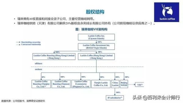 vie架构对原始股东的利弊？（佳缘叫买外汇）