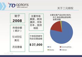 比特币二元期权是什么意思，它是合法的吗？（二元外汇技术分析）