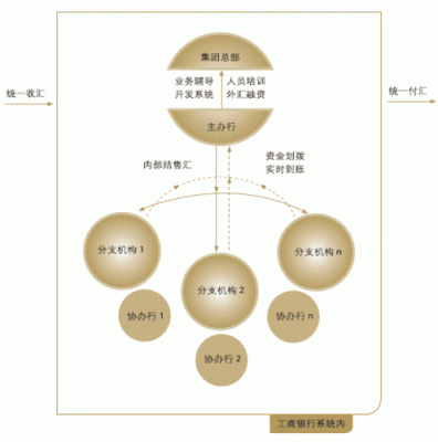 跨境资金集中运营定义？（个人外汇系统优化实施）