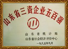 山东新光实业集团有限公司怎么样？（外汇管理局78号文）