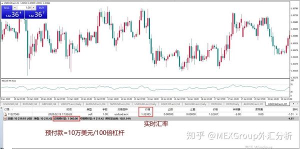 外汇账户1000美金，杠杆500倍，仓位多少合适？（外汇的仓位怎么计算器）