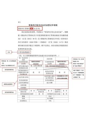 贸易企业外汇收支申请表怎么上传不了？（服务贸易外汇收支企业）