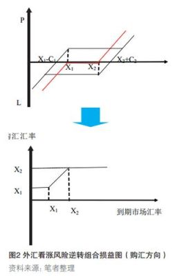 如何使用外汇期权对冲汇率贬值风险？（外汇期权 风险逆转）