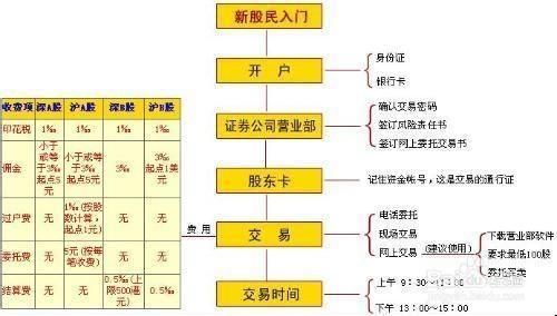 b股资金账户怎样到证交所？（B股外汇如何转）