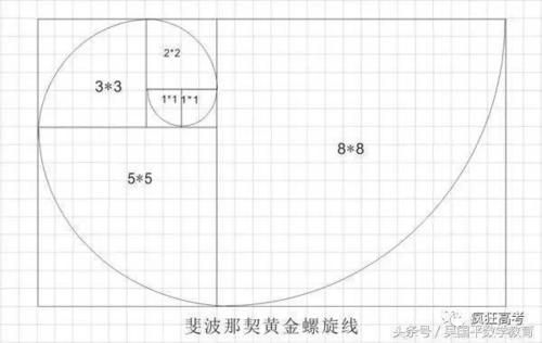 黄金螺线和网格线的使用方法？（外汇斐波那契选段）