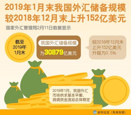 外汇储备为什么包括国库券？（2018年外汇猜测）