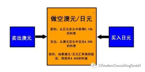 外汇买卖中的套息与套利都什么意思？（外汇套息公式）