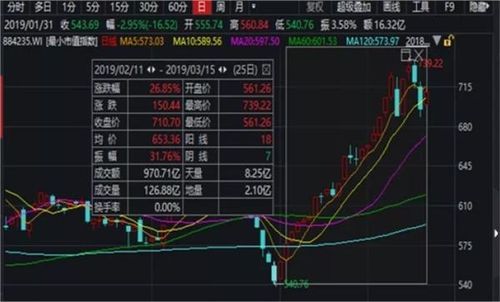 最小市值指数是什么意思？（市值指数）