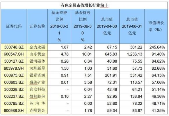 参考市值是什么意思呀？（参考基金市值）