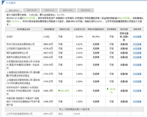 中利集团深度解析？（中利集团市值）