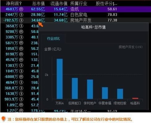看流通市值还是看流通股？（市值 选股）