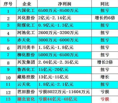 国内比较知名的化工企业有哪些？（湖北宜化市值）