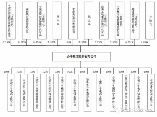 历史上的股王有哪些？（天山集团的市值）