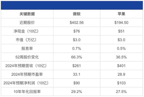 全球互联网市值排名2021？（90年代微软市值）